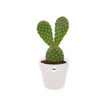 b.for original rond mini 7cm blanc